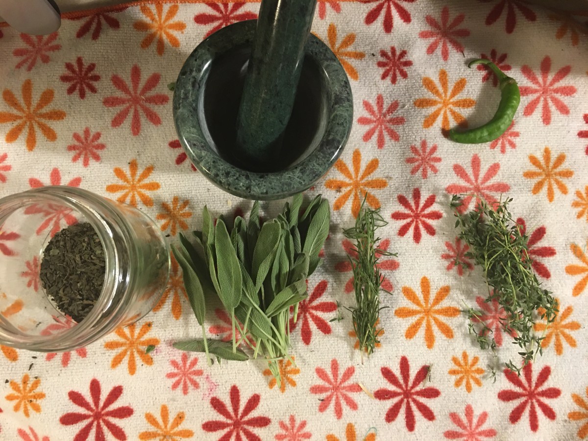 The Real Life Of A Modern Trad&nbsp;Wife